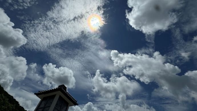 昨日の彩雲 別邸わんこ日和