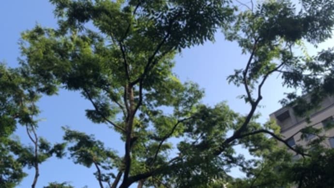福岡県でのあれこれ。