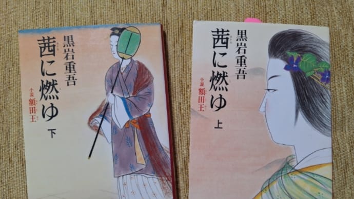 二人の皇子の妻となった額田王 黒岩重吾『茜に燃ゆ』