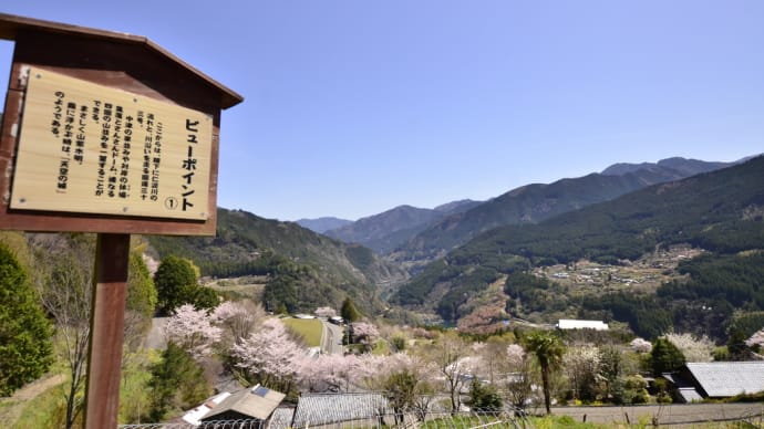 久万高原町 花桃の里