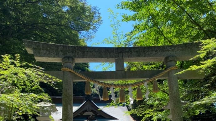 少しでも涼しそうな写真