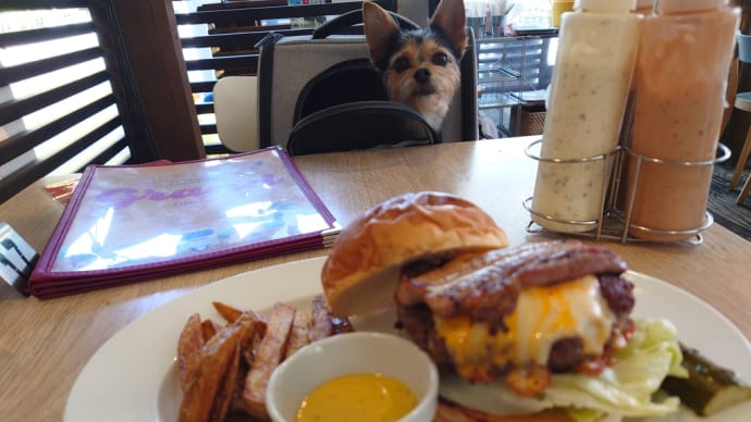 ドッグランの後にハンバーガーどうでしょう
