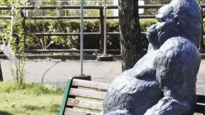 弾丸ツアー、猿の旅。おまけ。