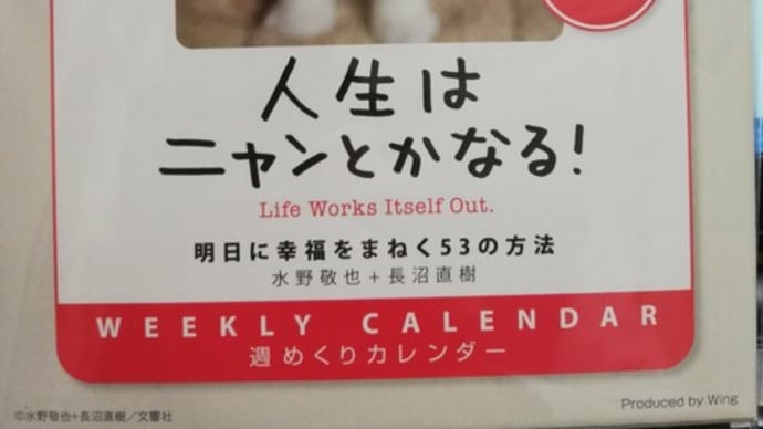 トコトコ散歩~お墓参りと来年のカレンダー~