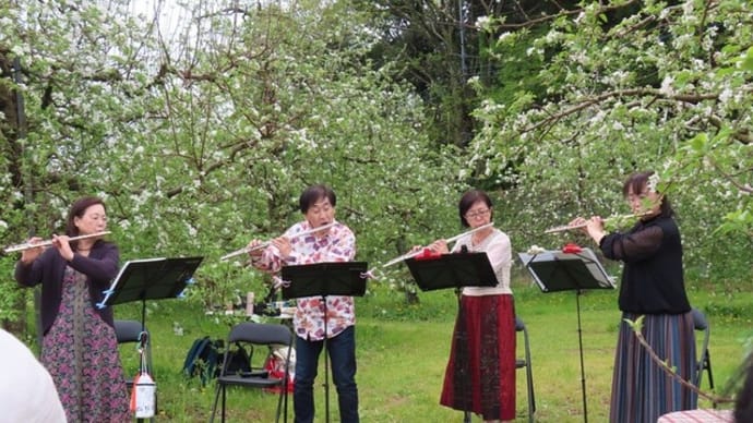 りんごの花見&フルートアンサンブルの集い