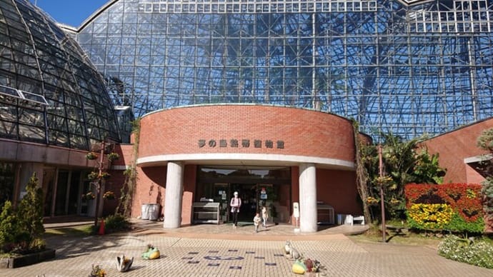 夢の島熱帯植物館(東京都江東区)はとてもオススメ!