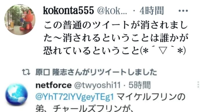 トランプ反乱法【執行者】陸軍太平洋軍司令官【チャールズ・フリン将軍】来日のツイートが消された!恐れているのは誰!⇒マイケルフリンの弟、チャールズフリンが、日本に来てるから、仕上げにかかっている。