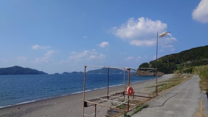 フォイル日和♪