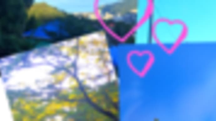 8月になりましたね