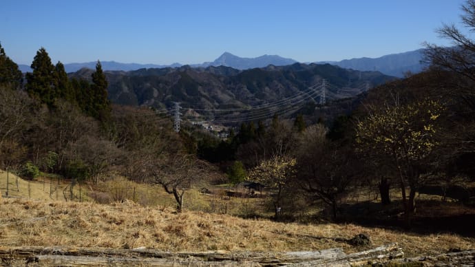 小鹿野の四阿屋山を登る