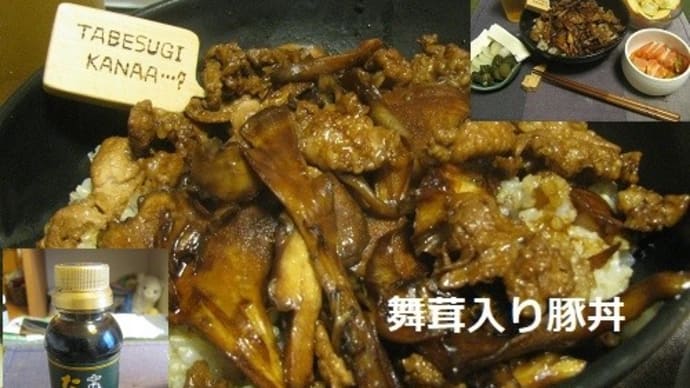 『 舞茸入り豚丼』