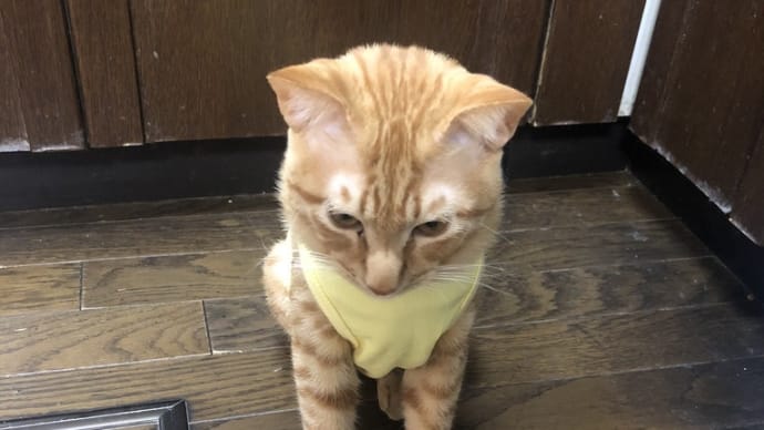 お洋服姿で待て。海野寛之です。