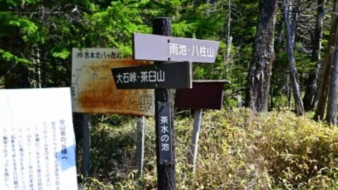 八柱山「やばしらやま」トレッキング