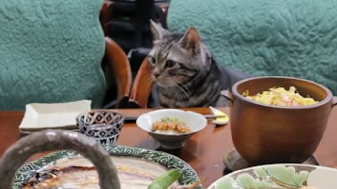 煮物コロコロ