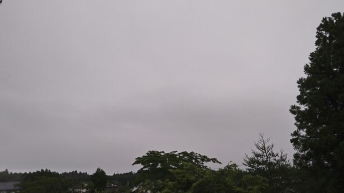 白い蚊の薬の空