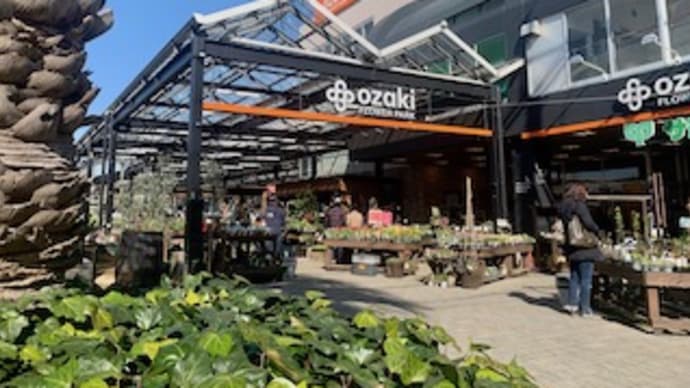 練馬の園芸店へ