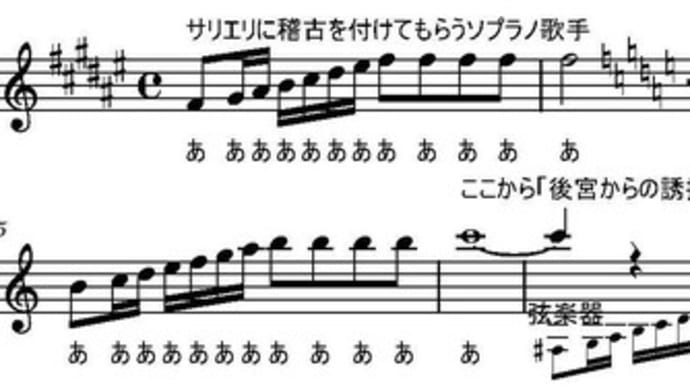 「後宮からの誘拐」のタイトルへの疑問