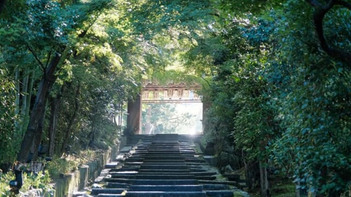 【京都】ねねの道を早朝散歩した Walked at the Path of Nene (Nene-no Michi) in Kyoto in the morning.【OSMO Pocket/4K】