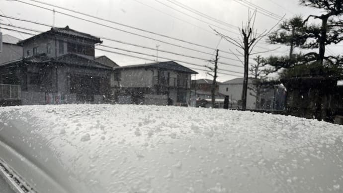 今日の天気