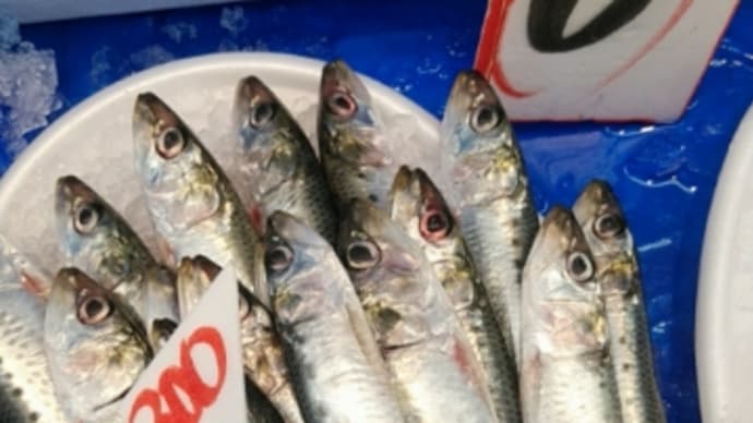隣町の魚屋さん
