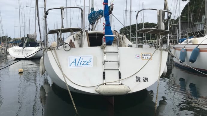 貿易風（日）Trade winds(英)Alizé(仏)Aliseo(伊)Passat(独)