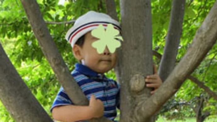 事前申告