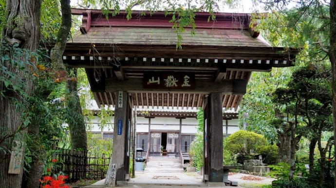 法善寺の「藤袴」