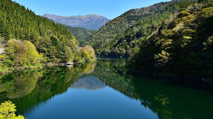 新緑に萌える吉野川上流域