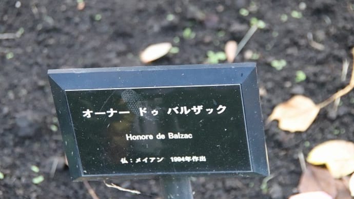 東沢バラ公園 2