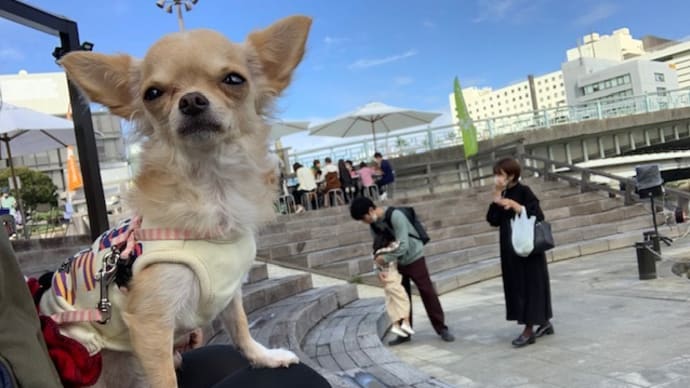 ことの不満。