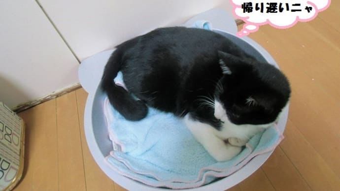クマ「猫鍋」で待っているニャ😹