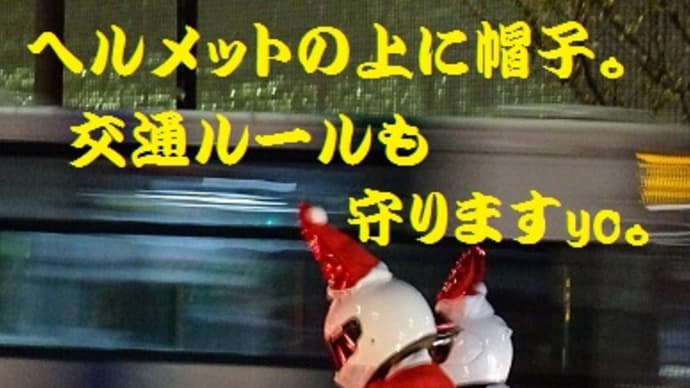 今年も遭遇。