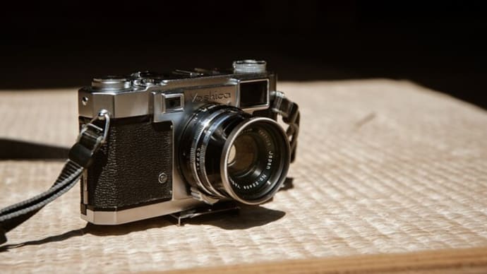 #桜には‥ 早かったけど。。Yashica 35