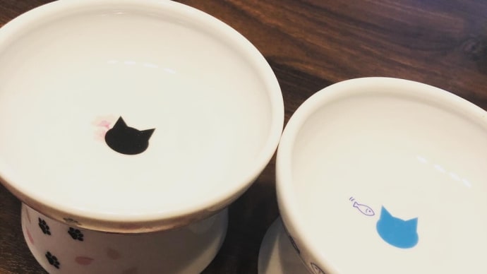 新しい猫食器