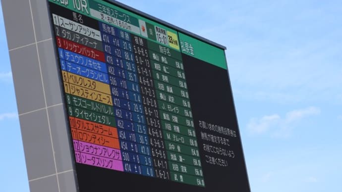 秋競馬もお付き合いくださいませ6