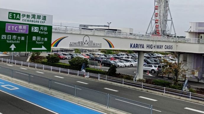 期日前投票を済ませて