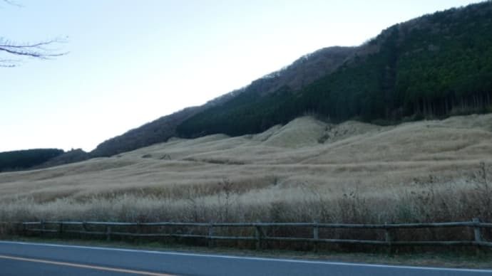 箱根仙石原 神奈川県 2023年11月19日