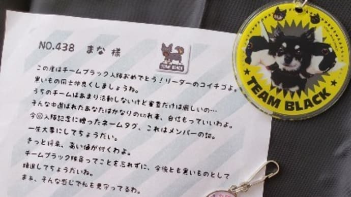 チームブラックに入隊しました♪