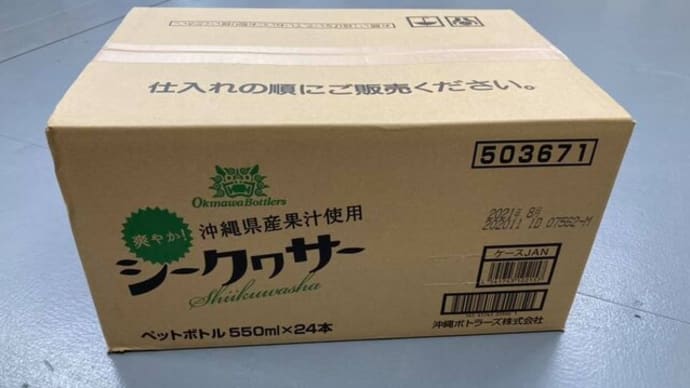 好評!ツクツクでシークヮーサー