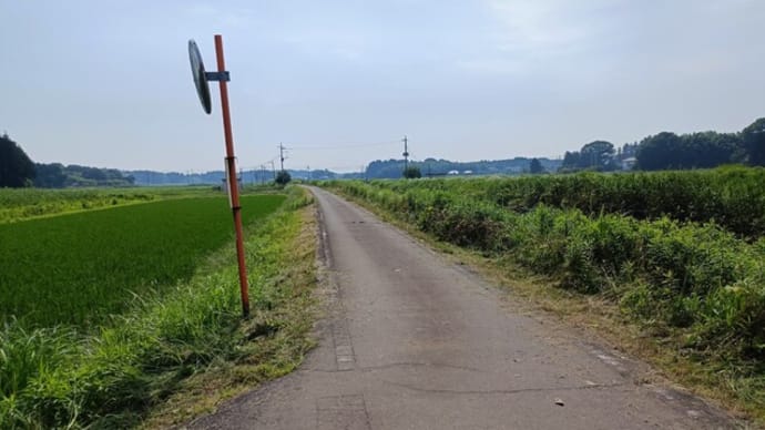 巴川ロード&古墳公園管理作業&バーベキュー