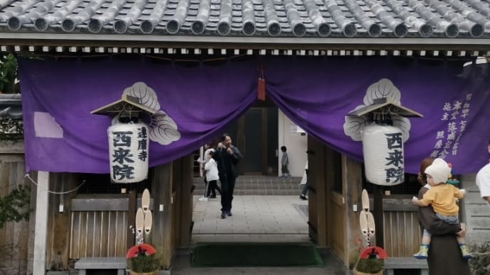 達磨さんがいっぱい