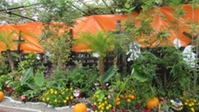市民の森公園 ハロウィーン ランチ コーヒーの思い出