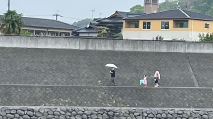 初夏の文芸＊短歌（その１）☆乙女の叫び★母の筍料理☆ウクライナ民話「てぶくろ」