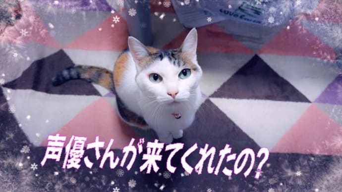 声優目指して東京の美藤優ちょっと我が家に来てくれました・・楽しいひと時ワイワイガヤガヤ