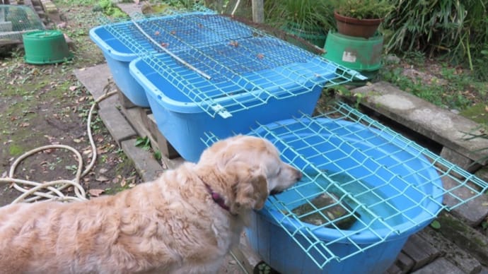 🐶週末🐶20211009