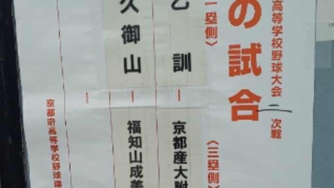 久しぶりの高校野球観戦