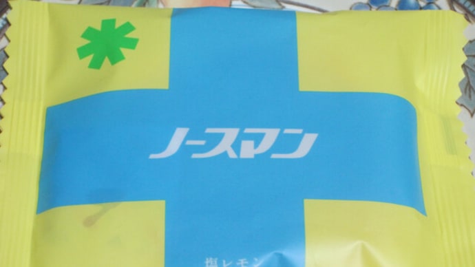 ノースマン 塩レモン