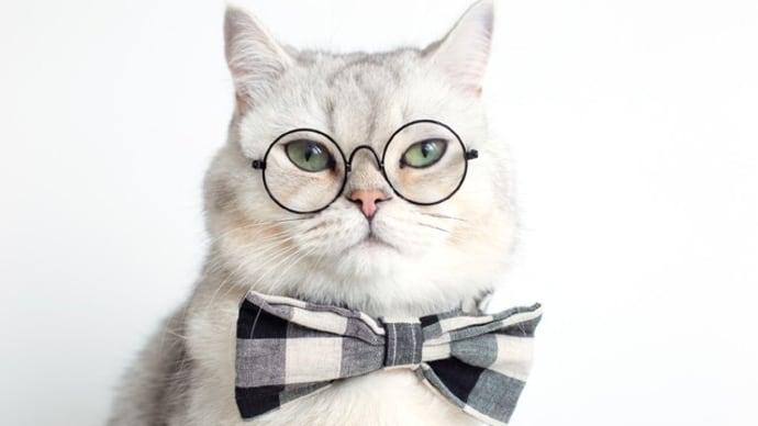 動物のおもしろトリビア10選【長田雄次】