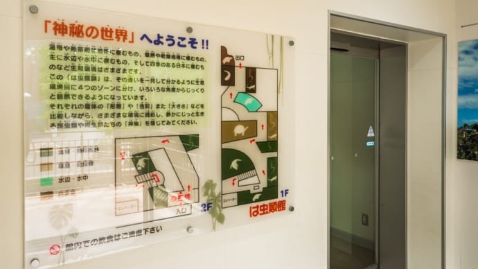 日本平動物園 は虫類館 2F入口