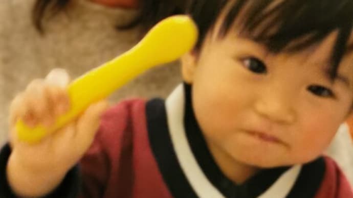『ホテルのお部屋で、もぐもぐタイムのみらんちゃん・・・』